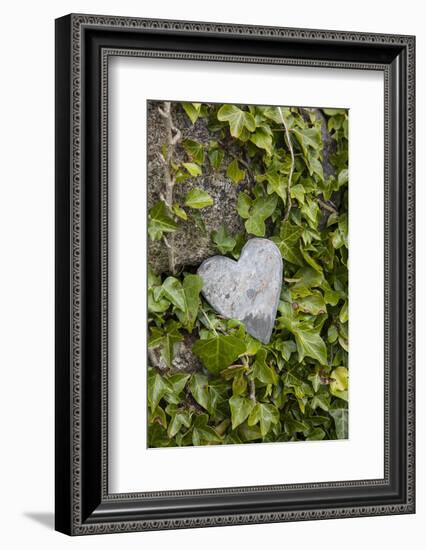 Wall with ivy, heart from stone, close up, still life-Andrea Haase-Framed Photographic Print