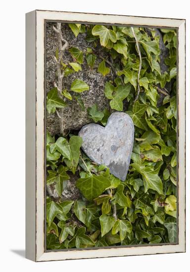 Wall with ivy, heart from stone, close up, still life-Andrea Haase-Framed Premier Image Canvas