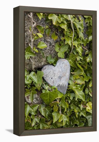 Wall with ivy, heart from stone, close up, still life-Andrea Haase-Framed Premier Image Canvas
