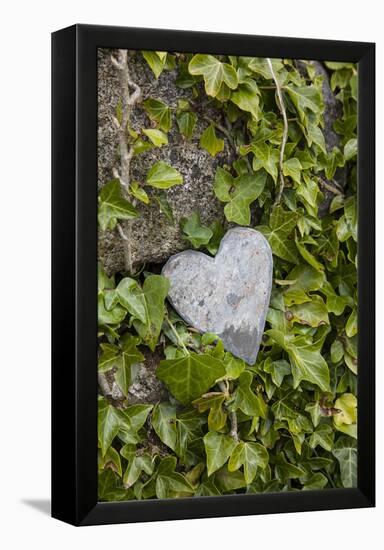 Wall with ivy, heart from stone, close up, still life-Andrea Haase-Framed Premier Image Canvas