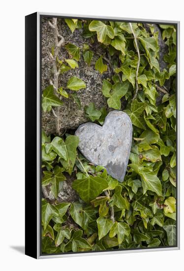 Wall with ivy, heart from stone, close up, still life-Andrea Haase-Framed Premier Image Canvas