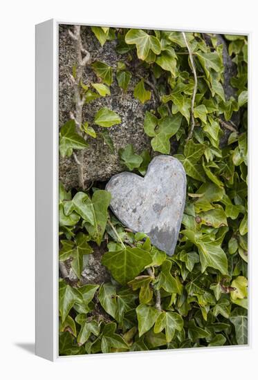 Wall with ivy, heart from stone, close up, still life-Andrea Haase-Framed Premier Image Canvas