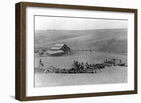 Walla Walla, WA Farm with Combines Horseteams Photograph - Walla Walla, WA-Lantern Press-Framed Art Print