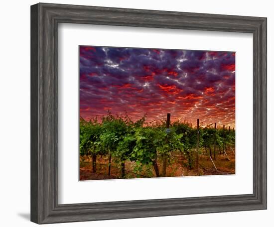 Walla Walla Wine Country, Walla Walla, Washington, USA-Richard Duval-Framed Photographic Print