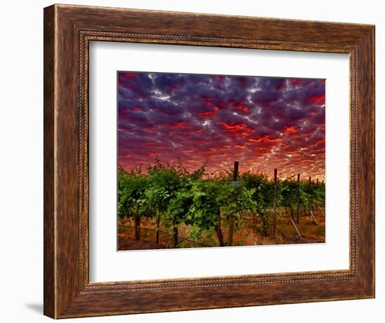 Walla Walla Wine Country, Walla Walla, Washington, USA-Richard Duval-Framed Photographic Print