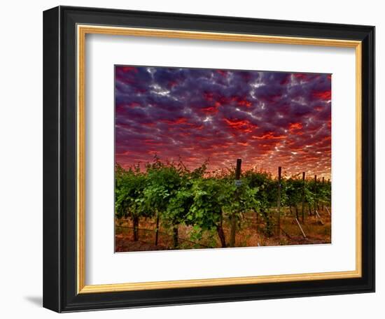 Walla Walla Wine Country, Walla Walla, Washington, USA-Richard Duval-Framed Photographic Print