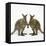 Wallaby X2 Holding Hands-Andy and Clare Teare-Framed Premier Image Canvas