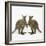 Wallaby X2 Holding Hands-Andy and Clare Teare-Framed Photographic Print