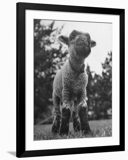 Photographic Print, , large