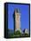 Wallace Monument, Stirling, Central, Scotland, United Kingdom, Europe-Thouvenin Guy-Framed Premier Image Canvas