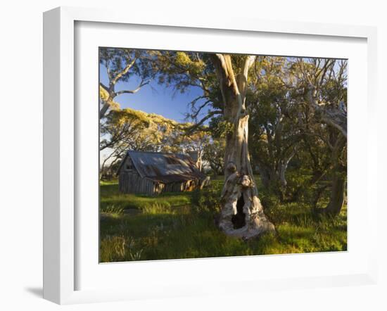 Wallace's Hut, Bogong High Plains, Apline National Park, Victoria, Australia, Pacific-Schlenker Jochen-Framed Photographic Print