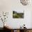 Walled and Turreted Fortress of La Cite, Carcassonne, Languedoc-Peter Richardson-Photographic Print displayed on a wall