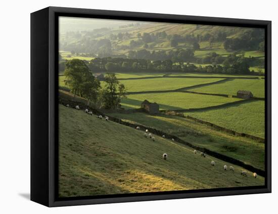 Walled Fields and Barns, Swaledale, Yorkshire Dales National Park, Yorkshire, England, UK-Patrick Dieudonne-Framed Premier Image Canvas