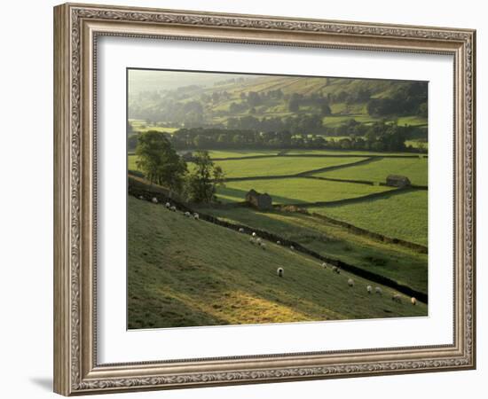 Walled Fields and Barns, Swaledale, Yorkshire Dales National Park, Yorkshire, England, UK-Patrick Dieudonne-Framed Photographic Print