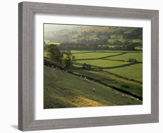 Walled Fields and Barns, Swaledale, Yorkshire Dales National Park, Yorkshire, England, UK-Patrick Dieudonne-Framed Photographic Print