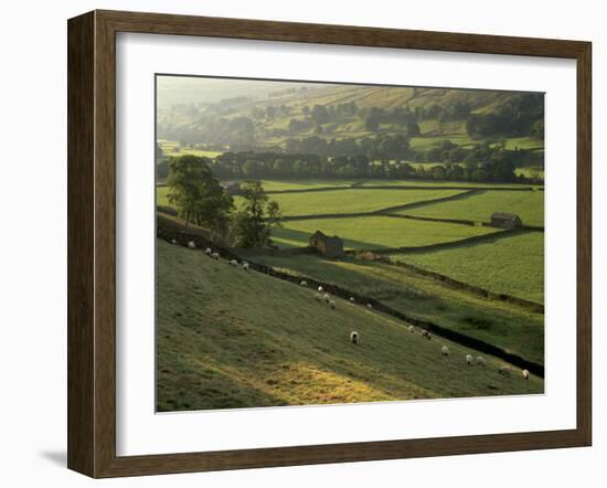 Walled Fields and Barns, Swaledale, Yorkshire Dales National Park, Yorkshire, England, UK-Patrick Dieudonne-Framed Photographic Print