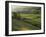 Walled Fields and Barns, Swaledale, Yorkshire Dales National Park, Yorkshire, England, UK-Patrick Dieudonne-Framed Photographic Print