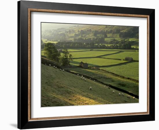 Walled Fields and Barns, Swaledale, Yorkshire Dales National Park, Yorkshire, England, UK-Patrick Dieudonne-Framed Photographic Print