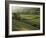 Walled Fields and Barns, Swaledale, Yorkshire Dales National Park, Yorkshire, England, UK-Patrick Dieudonne-Framed Photographic Print