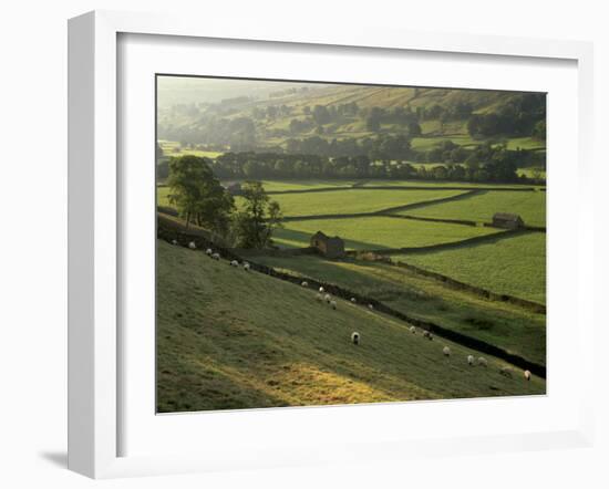 Walled Fields and Barns, Swaledale, Yorkshire Dales National Park, Yorkshire, England, UK-Patrick Dieudonne-Framed Photographic Print