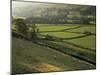 Walled Fields and Barns, Swaledale, Yorkshire Dales National Park, Yorkshire, England, UK-Patrick Dieudonne-Mounted Photographic Print