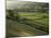 Walled Fields and Barns, Swaledale, Yorkshire Dales National Park, Yorkshire, England, UK-Patrick Dieudonne-Mounted Photographic Print