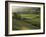 Walled Fields and Barns, Swaledale, Yorkshire Dales National Park, Yorkshire, England, UK-Patrick Dieudonne-Framed Photographic Print