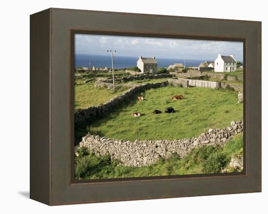 Walled Fields, Inishmore, Aran Islands, County Galway, Connacht, Eire (Republic of Ireland)-Ken Gillham-Framed Premier Image Canvas