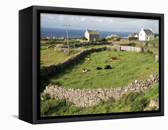 Walled Fields, Inishmore, Aran Islands, County Galway, Connacht, Eire (Republic of Ireland)-Ken Gillham-Framed Premier Image Canvas