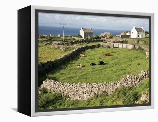 Walled Fields, Inishmore, Aran Islands, County Galway, Connacht, Eire (Republic of Ireland)-Ken Gillham-Framed Premier Image Canvas