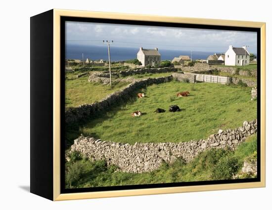 Walled Fields, Inishmore, Aran Islands, County Galway, Connacht, Eire (Republic of Ireland)-Ken Gillham-Framed Premier Image Canvas