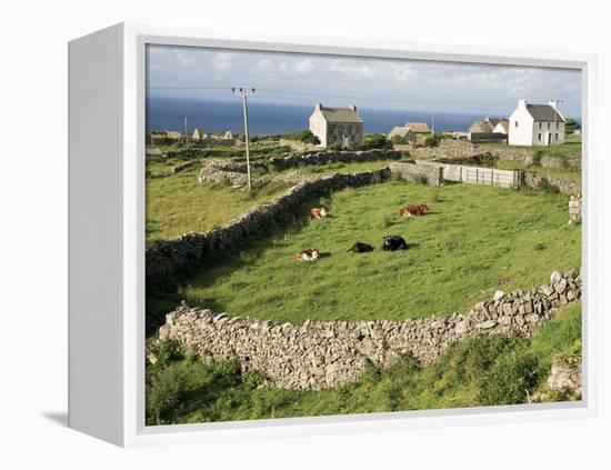 Walled Fields, Inishmore, Aran Islands, County Galway, Connacht, Eire (Republic of Ireland)-Ken Gillham-Framed Premier Image Canvas