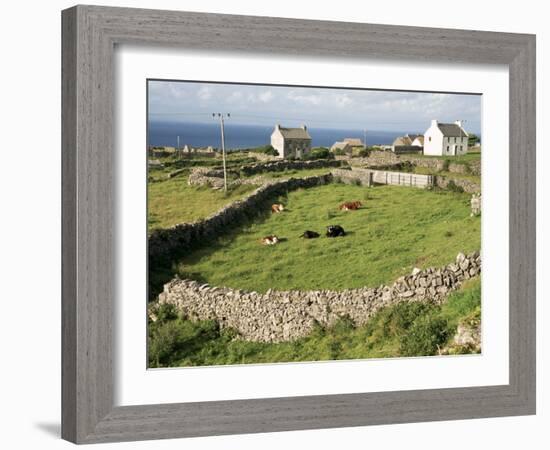 Walled Fields, Inishmore, Aran Islands, County Galway, Connacht, Eire (Republic of Ireland)-Ken Gillham-Framed Photographic Print