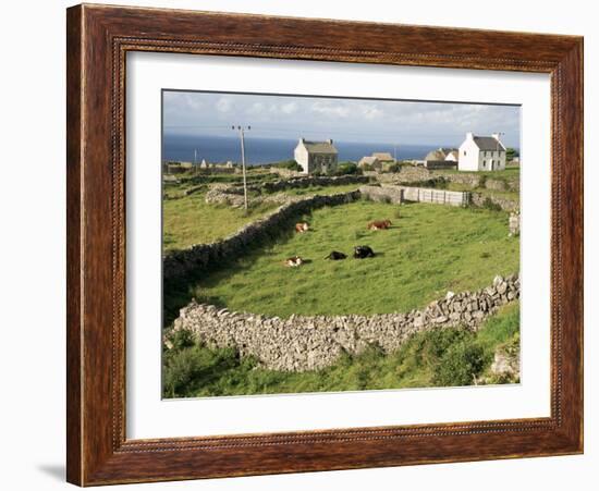 Walled Fields, Inishmore, Aran Islands, County Galway, Connacht, Eire (Republic of Ireland)-Ken Gillham-Framed Photographic Print