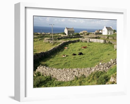 Walled Fields, Inishmore, Aran Islands, County Galway, Connacht, Eire (Republic of Ireland)-Ken Gillham-Framed Photographic Print