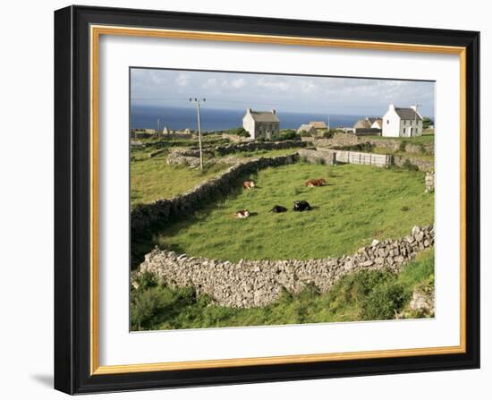 Walled Fields, Inishmore, Aran Islands, County Galway, Connacht, Eire (Republic of Ireland)-Ken Gillham-Framed Photographic Print