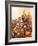 Wallenstein at the Battle of Lutzen-McConnell-Framed Giclee Print