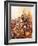 Wallenstein at the Battle of Lutzen-McConnell-Framed Giclee Print