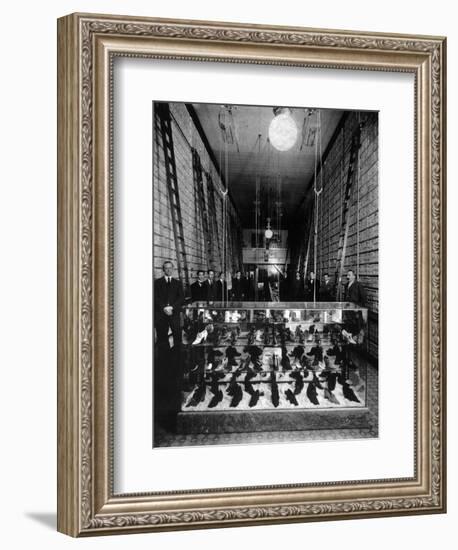 Wallin & Nordstrom Shoe Store - Seattle, Washington-Lantern Press-Framed Art Print