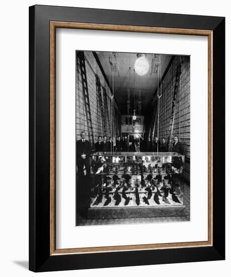 Wallin & Nordstrom Shoe Store - Seattle, Washington-Lantern Press-Framed Art Print