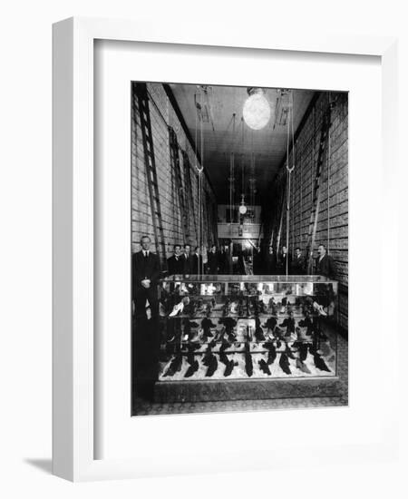 Wallin & Nordstrom Shoe Store - Seattle, Washington-Lantern Press-Framed Art Print