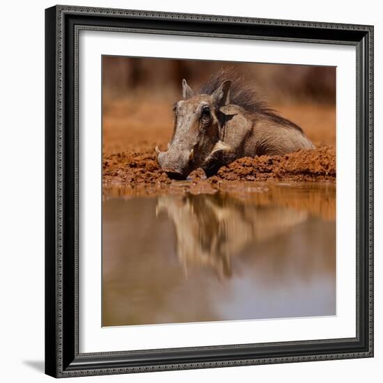 Wallow, 2019,-Eric Meyer-Framed Photographic Print