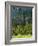 Wallowa National Forest, Hells Canyon National Recreation Area, Oregon, USA-Scott T. Smith-Framed Photographic Print