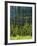 Wallowa National Forest, Hells Canyon National Recreation Area, Oregon, USA-Scott T. Smith-Framed Photographic Print