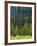 Wallowa National Forest, Hells Canyon National Recreation Area, Oregon, USA-Scott T. Smith-Framed Photographic Print