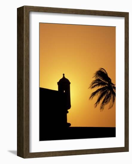 Walls and Forts Built Around the Old City, Cartagena, Colombia-Greg Johnston-Framed Photographic Print