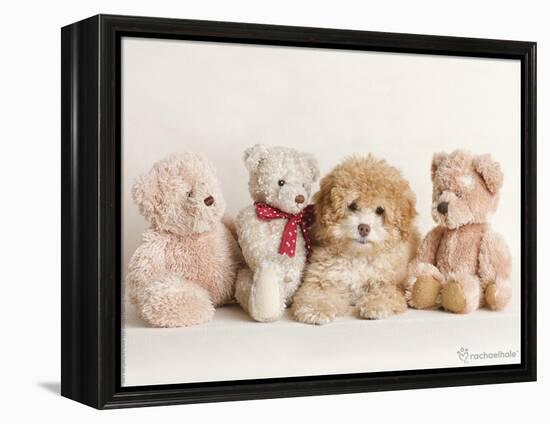 Wally-Rachael Hale-Framed Premier Image Canvas