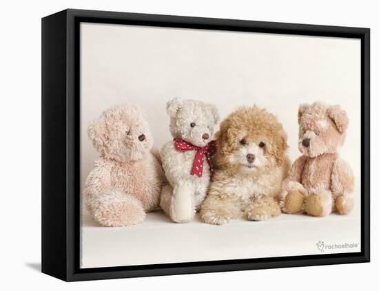 Wally-Rachael Hale-Framed Premier Image Canvas