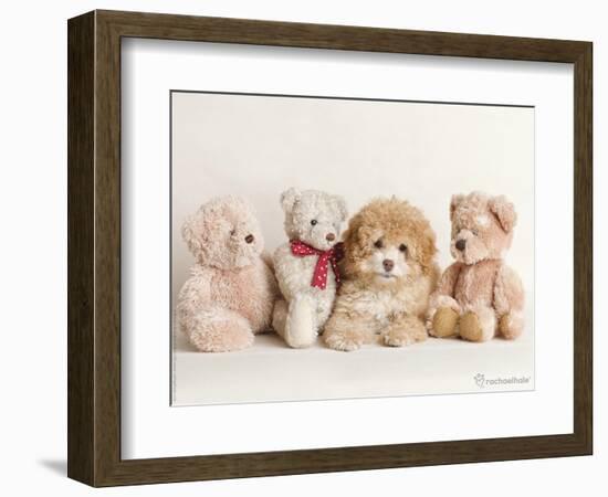 Wally-Rachael Hale-Framed Photographic Print