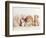 Wally-Rachael Hale-Framed Photographic Print